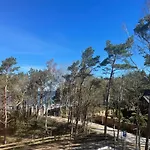 Lux - Pinea *
